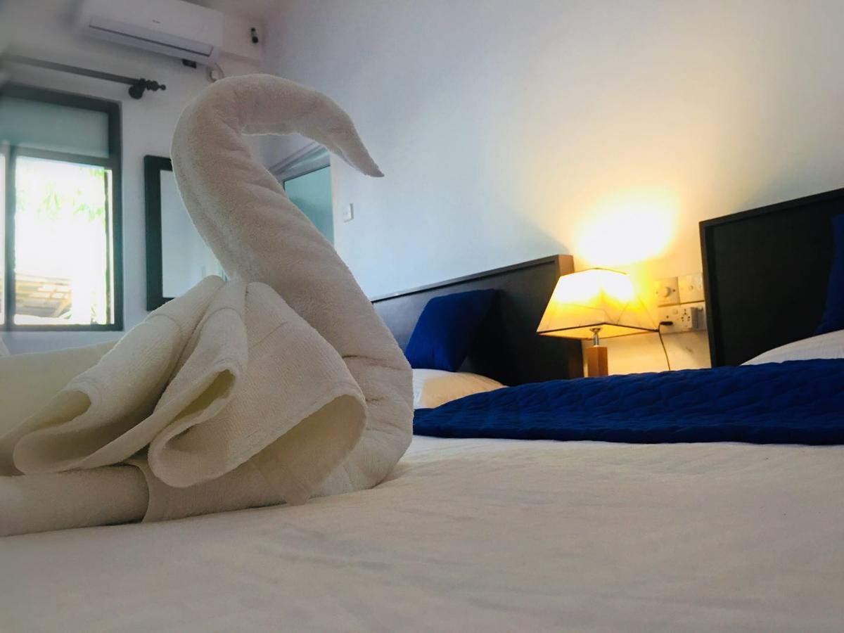 Blue Whale Holiday Hotel Mirissa Værelse billede