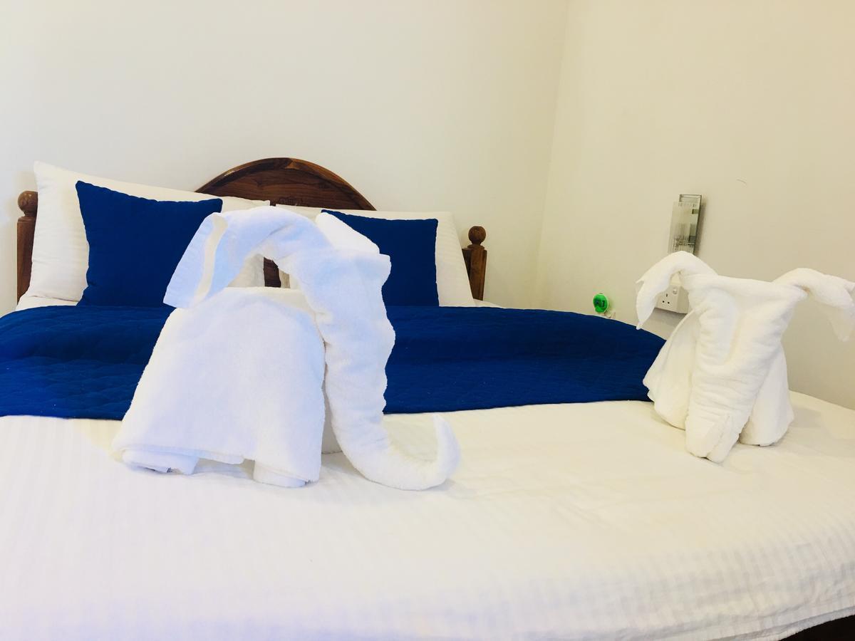 Blue Whale Holiday Hotel Mirissa Eksteriør billede