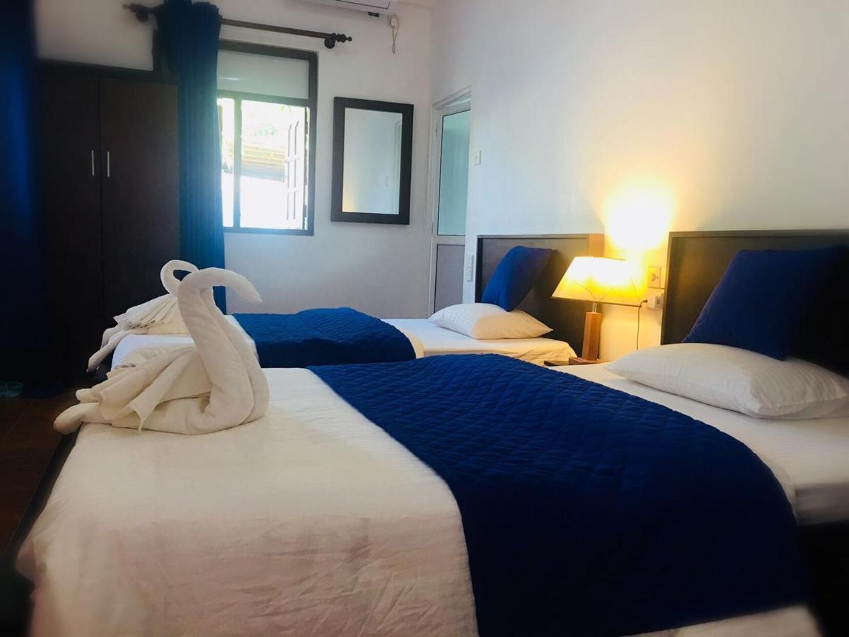 Blue Whale Holiday Hotel Mirissa Værelse billede